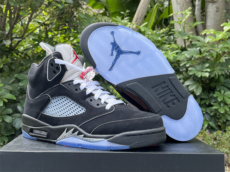 Air Jordan deals 5 Retro