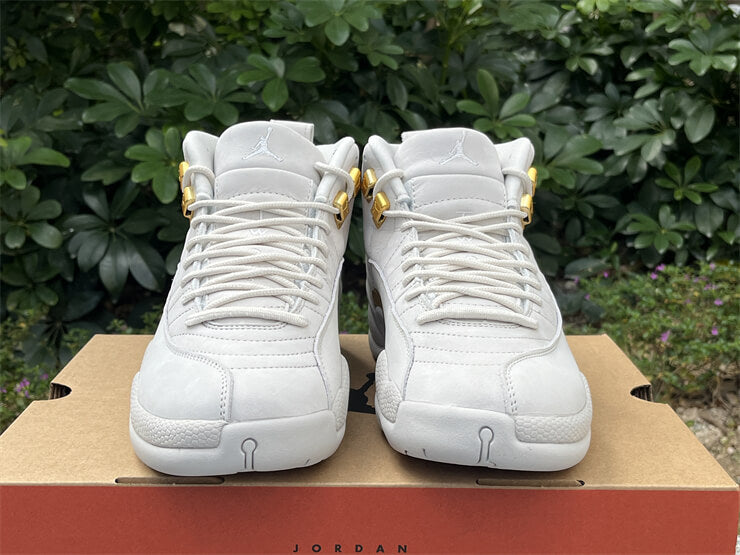 Jordan 12 size 14 best sale