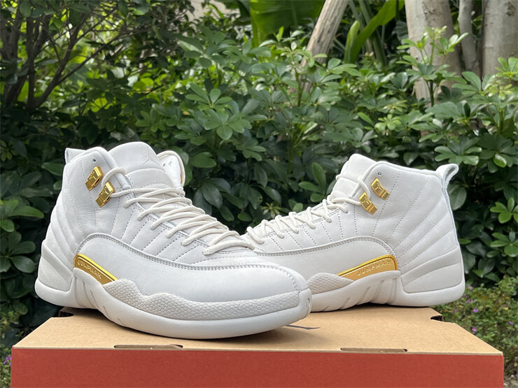 Air Jordan 12 Phantom Sneaker