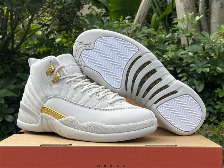 Air Jordan 12 Phantom Sneaker