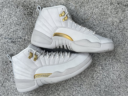 Air Jordan 12 Phantom Sneaker