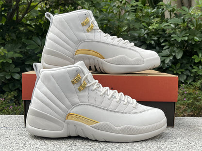 Air Jordan 12 Phantom Sneaker