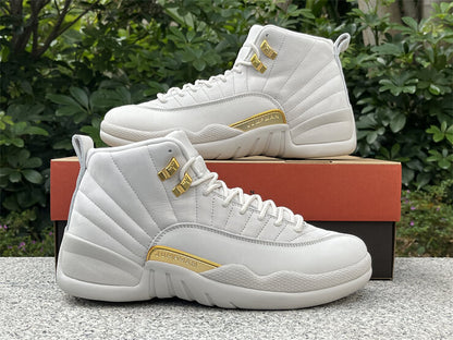 Air Jordan 12 Phantom Sneaker