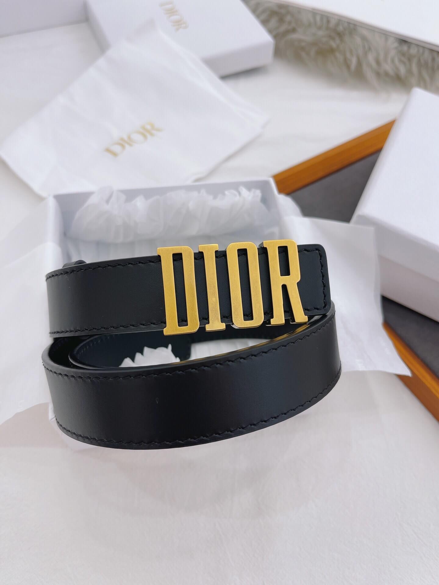 Black belt with gold 'Dior' logo on a white background