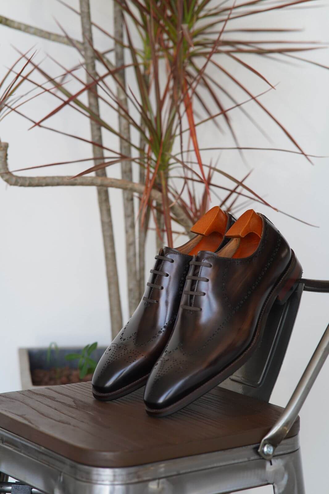 Pair of brown leather shoes with orange lining on a chair with a plant in the background
