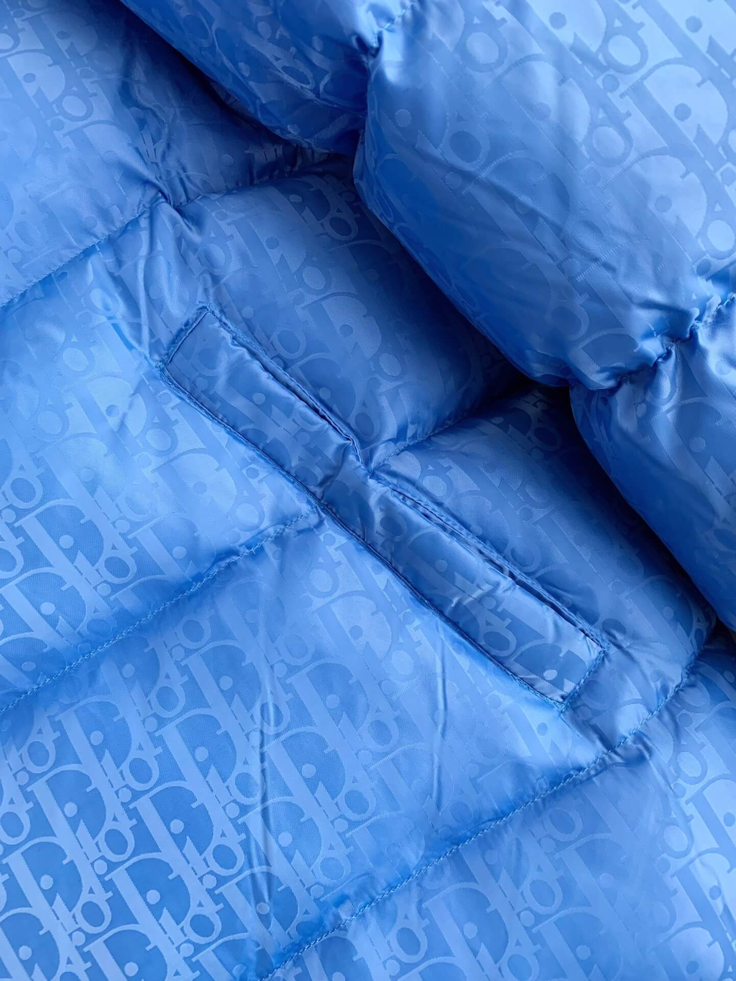 Dior Oblique Down Jacket 