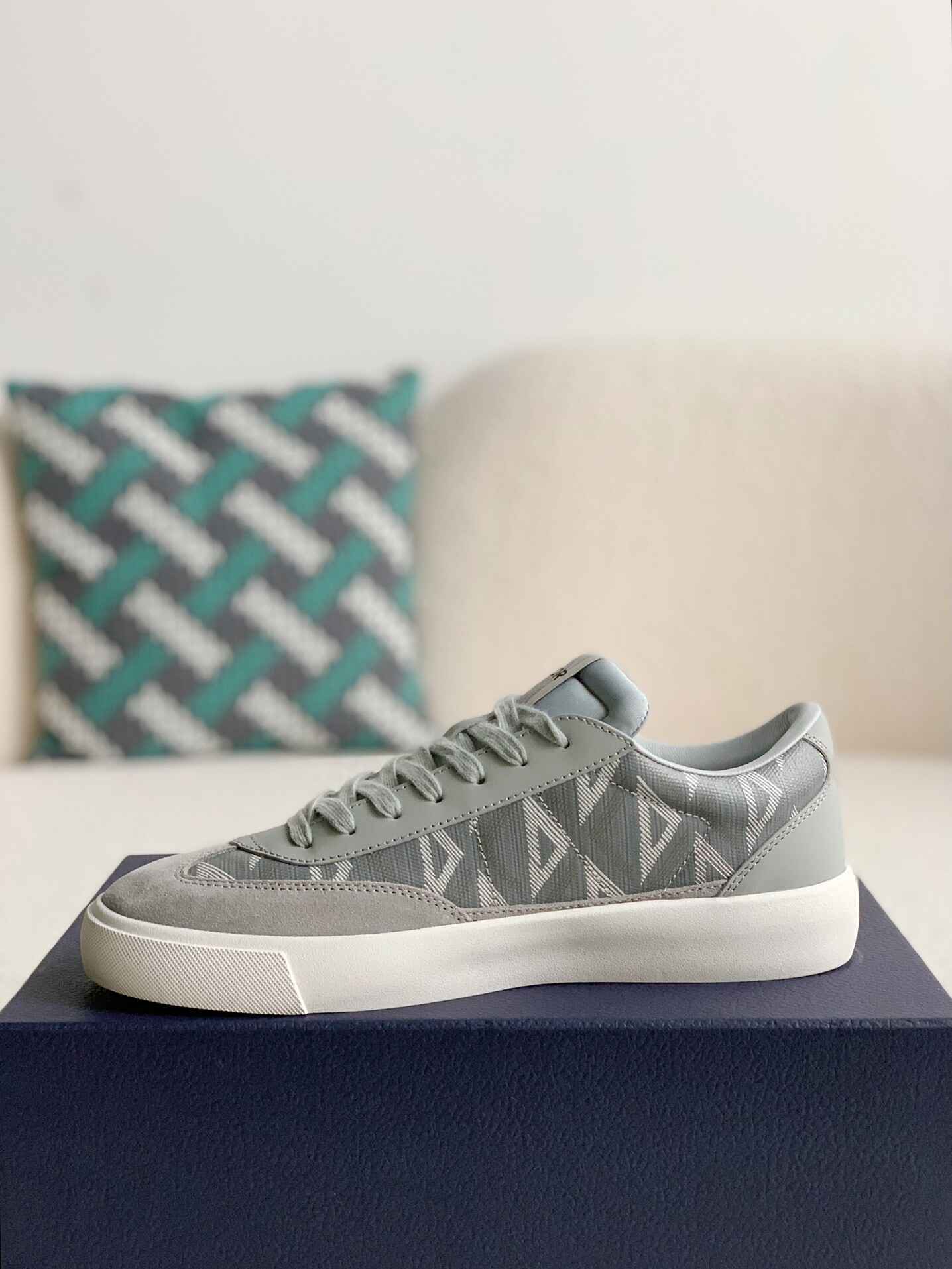 Dior B101 Low Top Gray Sneakers