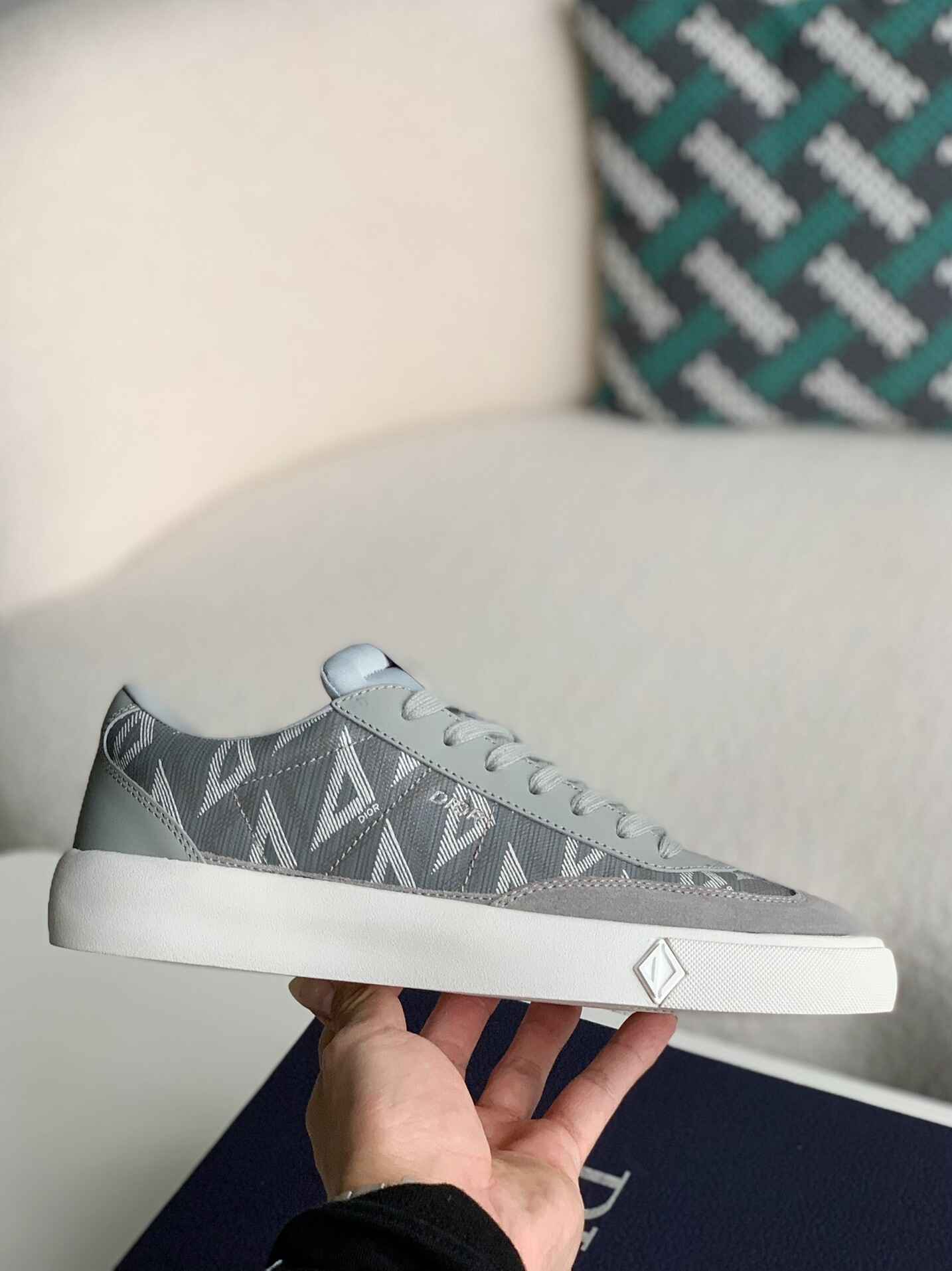 Dior B101 Low Top Gray Sneakers