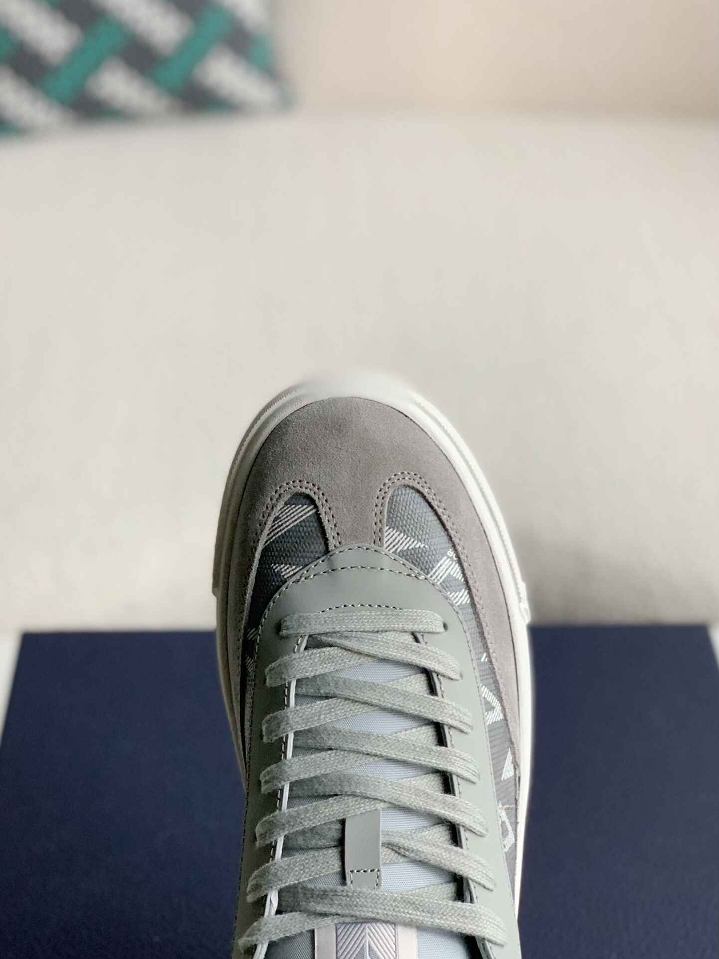 Dior B101 Low Top Gray Sneakers