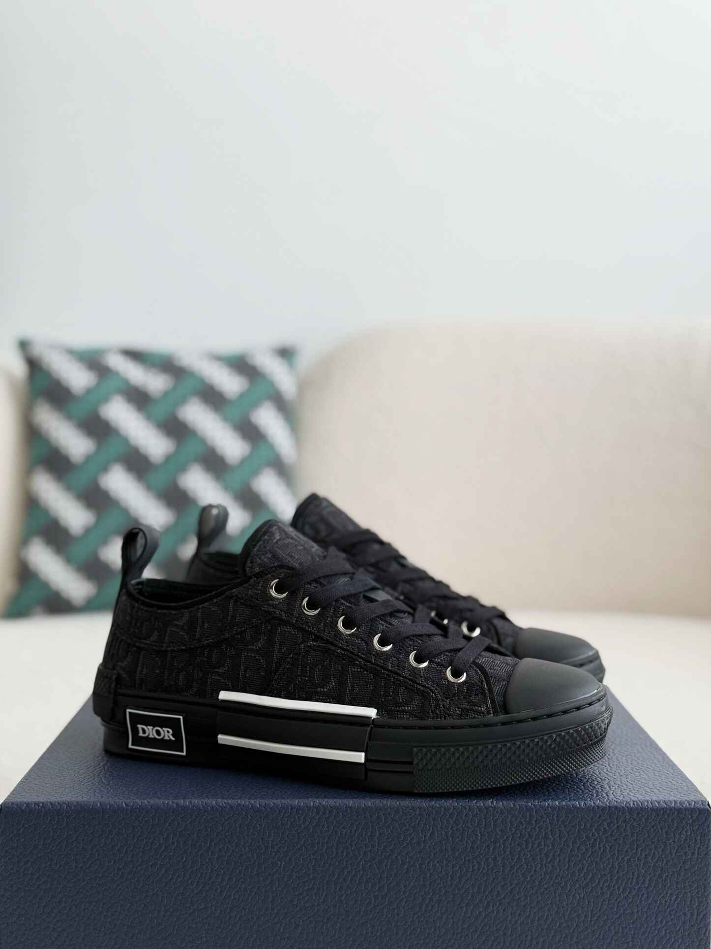 Dior fashion b23 oblique low