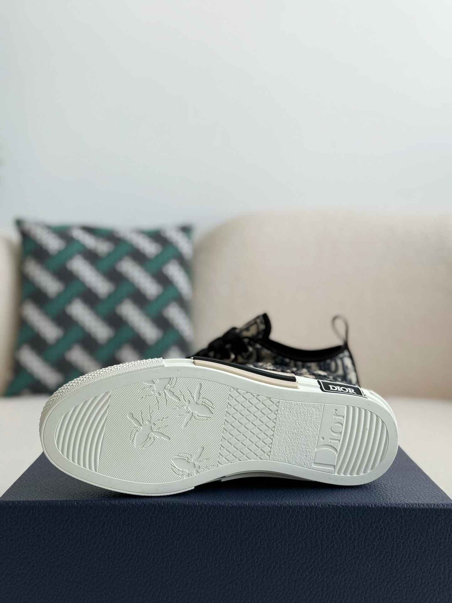 Dior B23 Low-Top Sneaker in Black Dior Oblique Jacquard – HolloShoe
