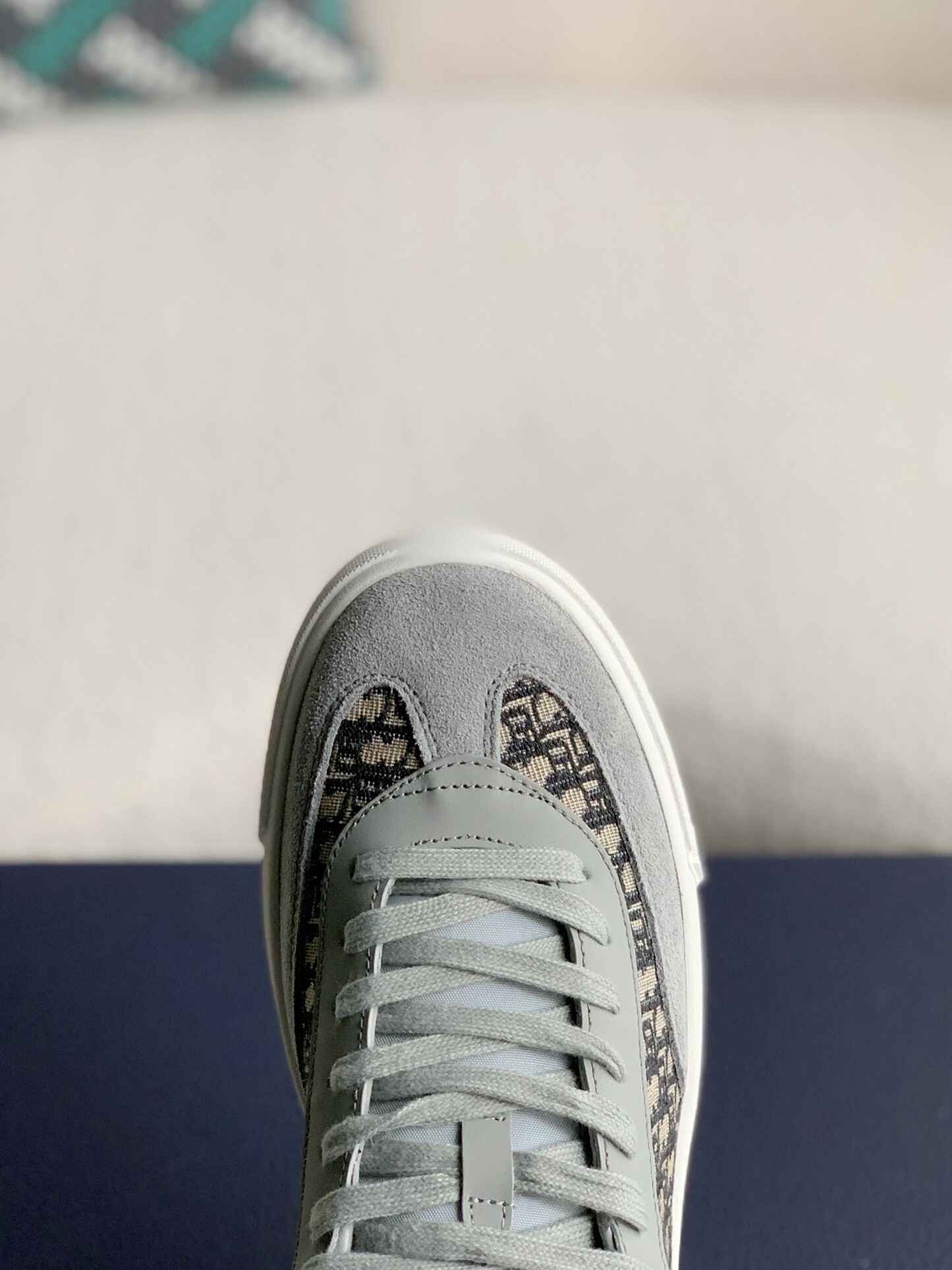 Dior B27 Gray White Low-Top Sneakers