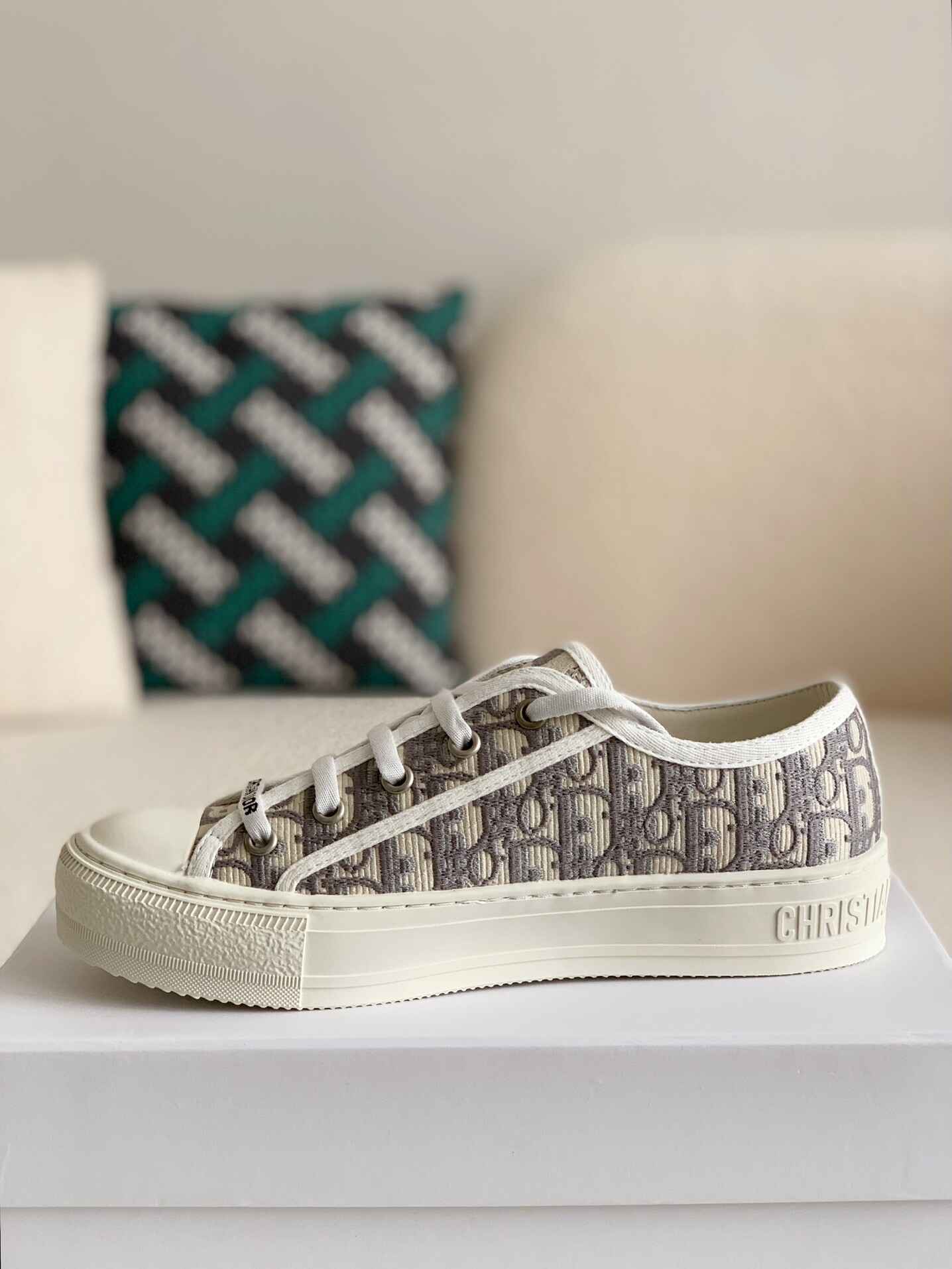 Dior Oblique Embroidered Gray Walk n Dior Sneakers Hollo Shoe