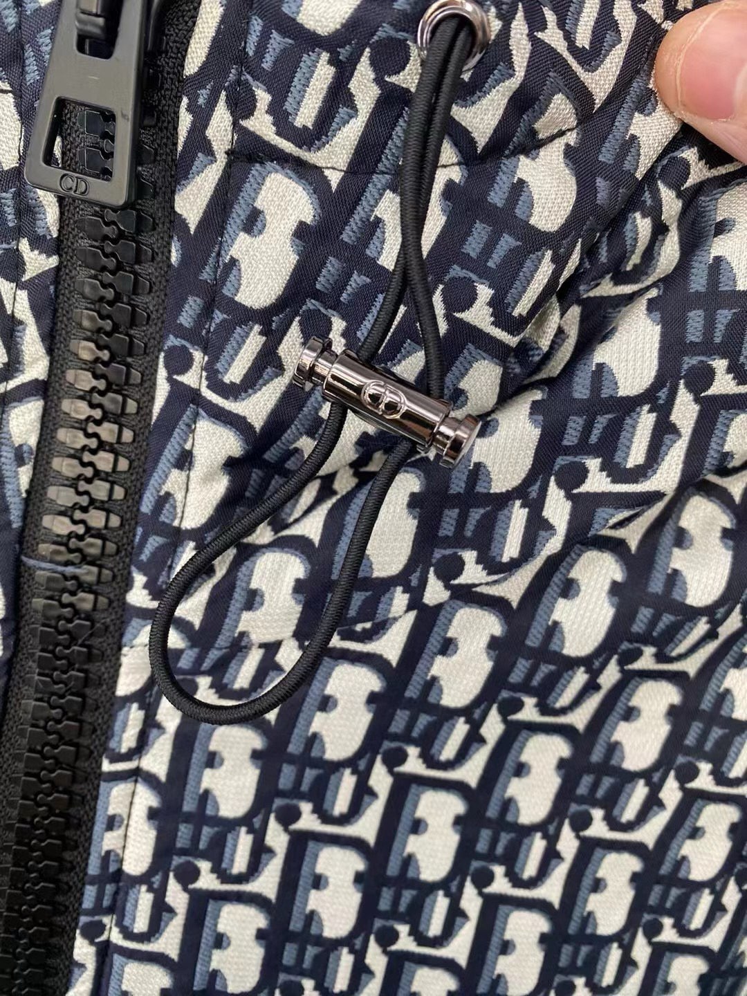 Dior Men's Dior Oblique Down Jacket – Hollo Shoe