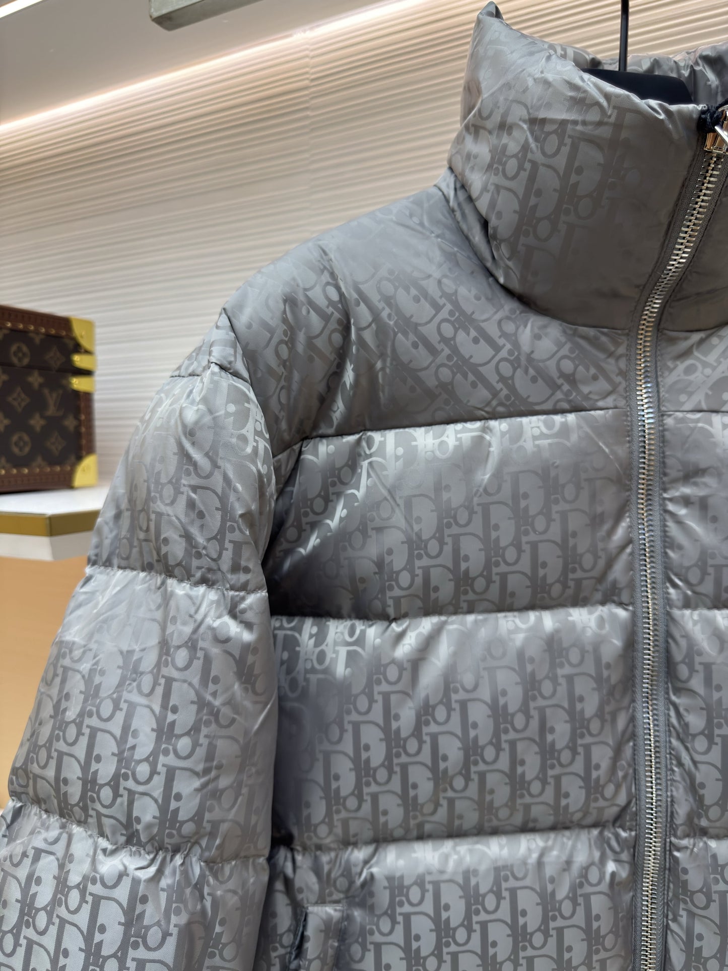 Dior Oblique Grey Technical Jacquard Down Jacket