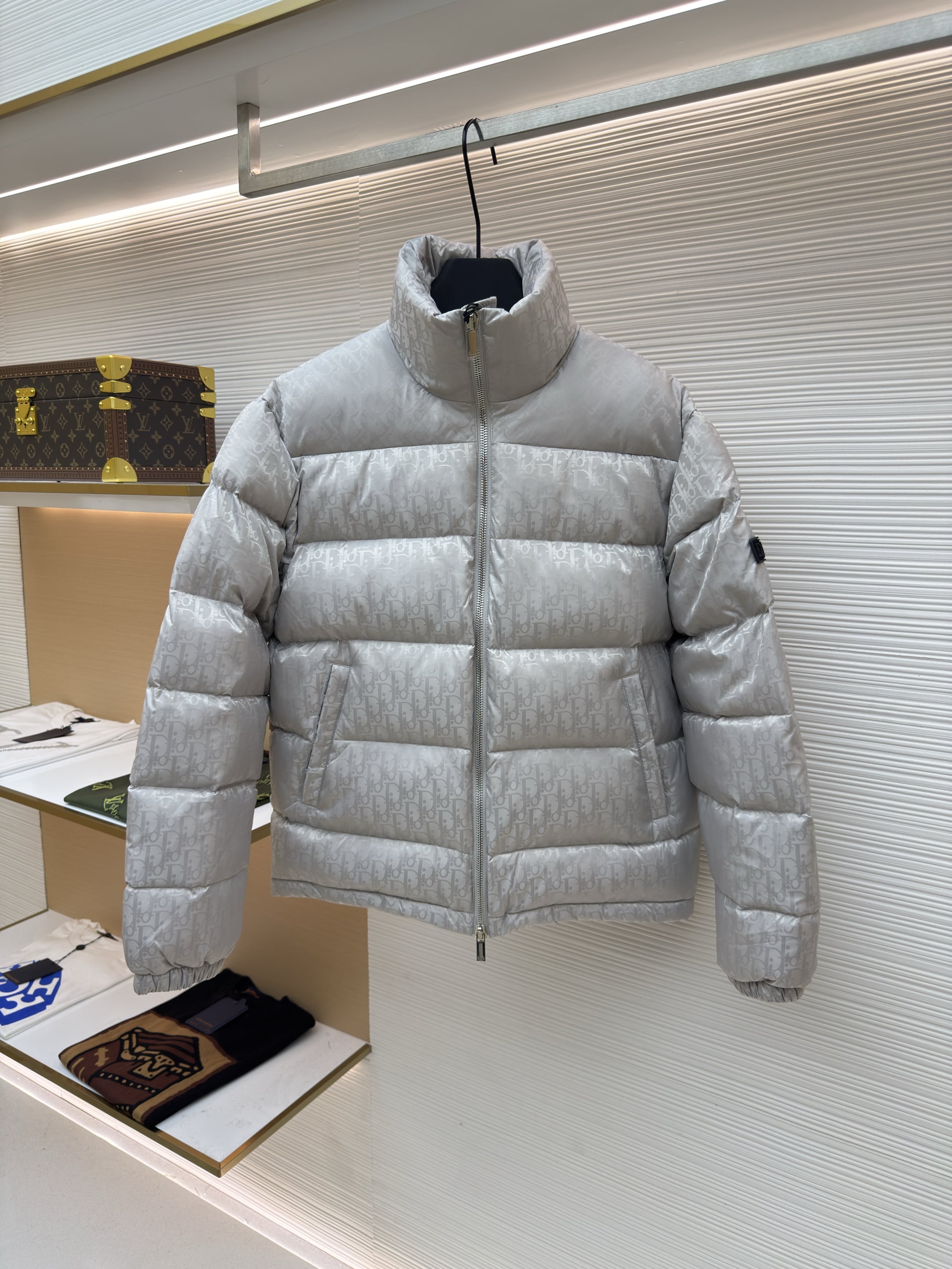 Dior Oblique Silver Technical Jacquard Down Jacket – Hollo Shoe