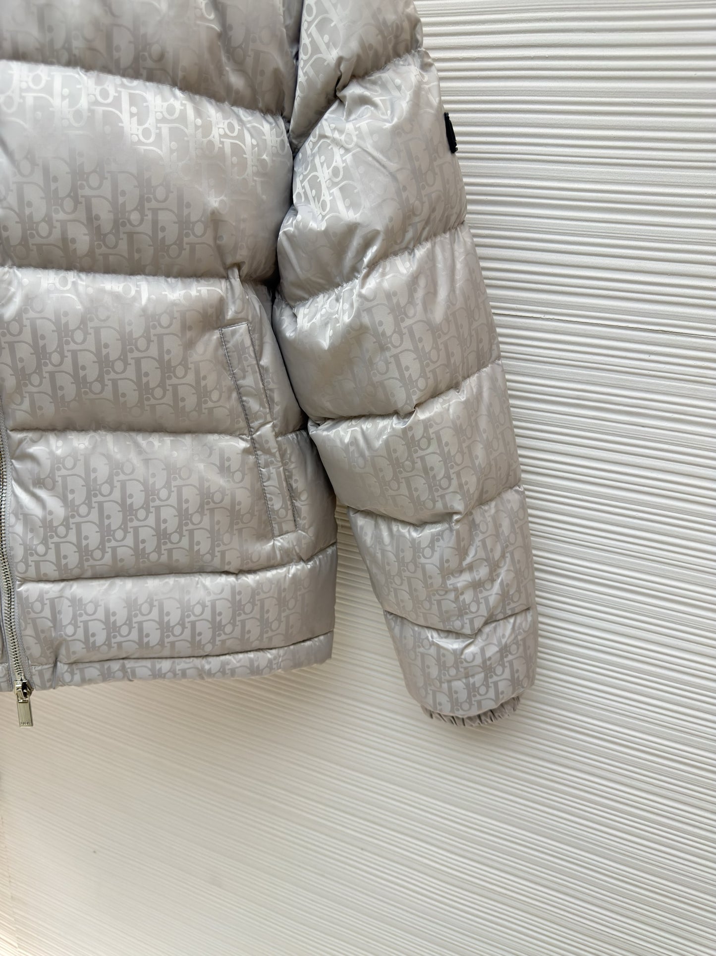 Dior Oblique Silver Technical Jacquard Down Jacket