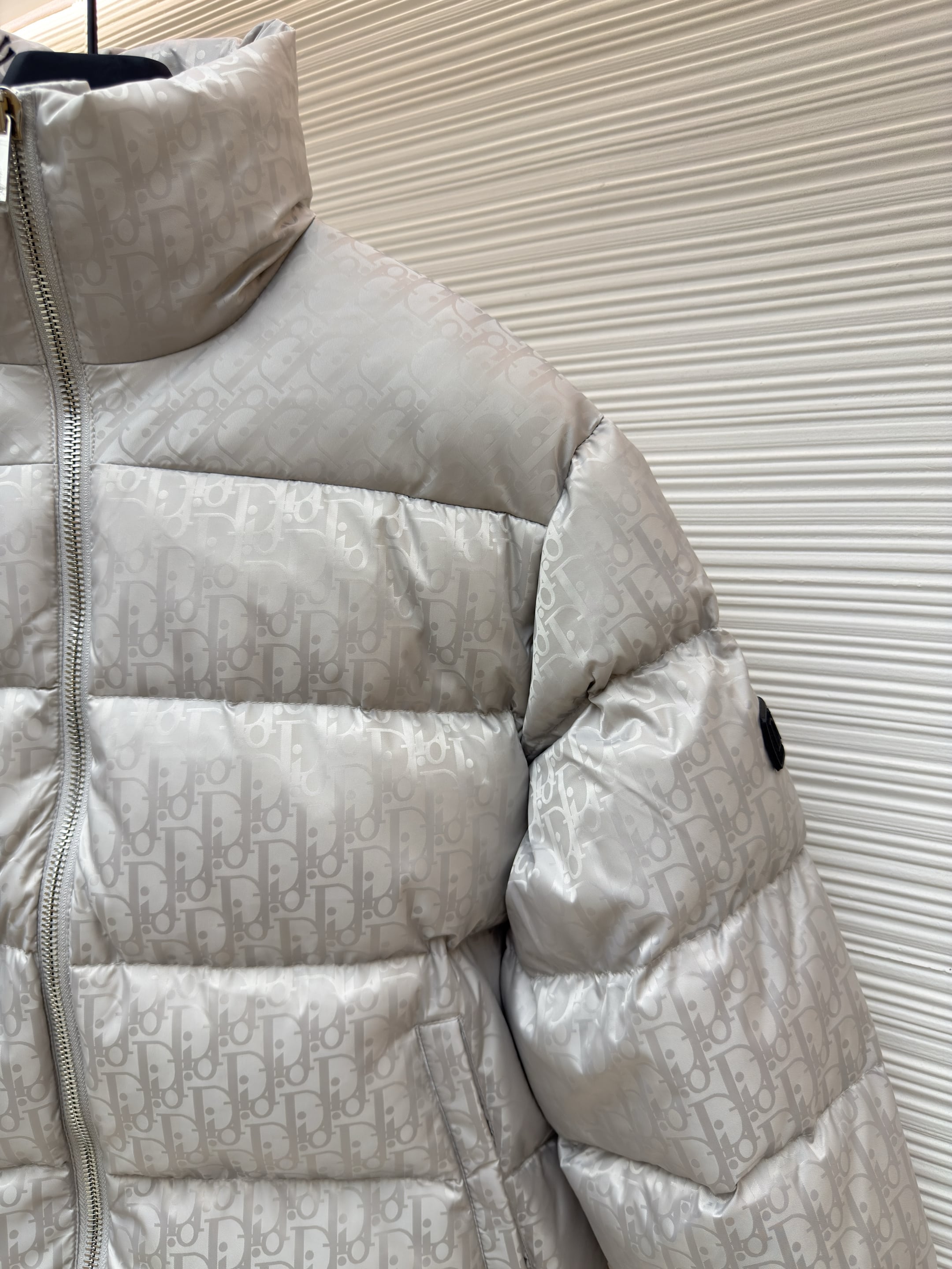 Dior Oblique Silver Technical Jacquard Down Jacket – HolloShoe