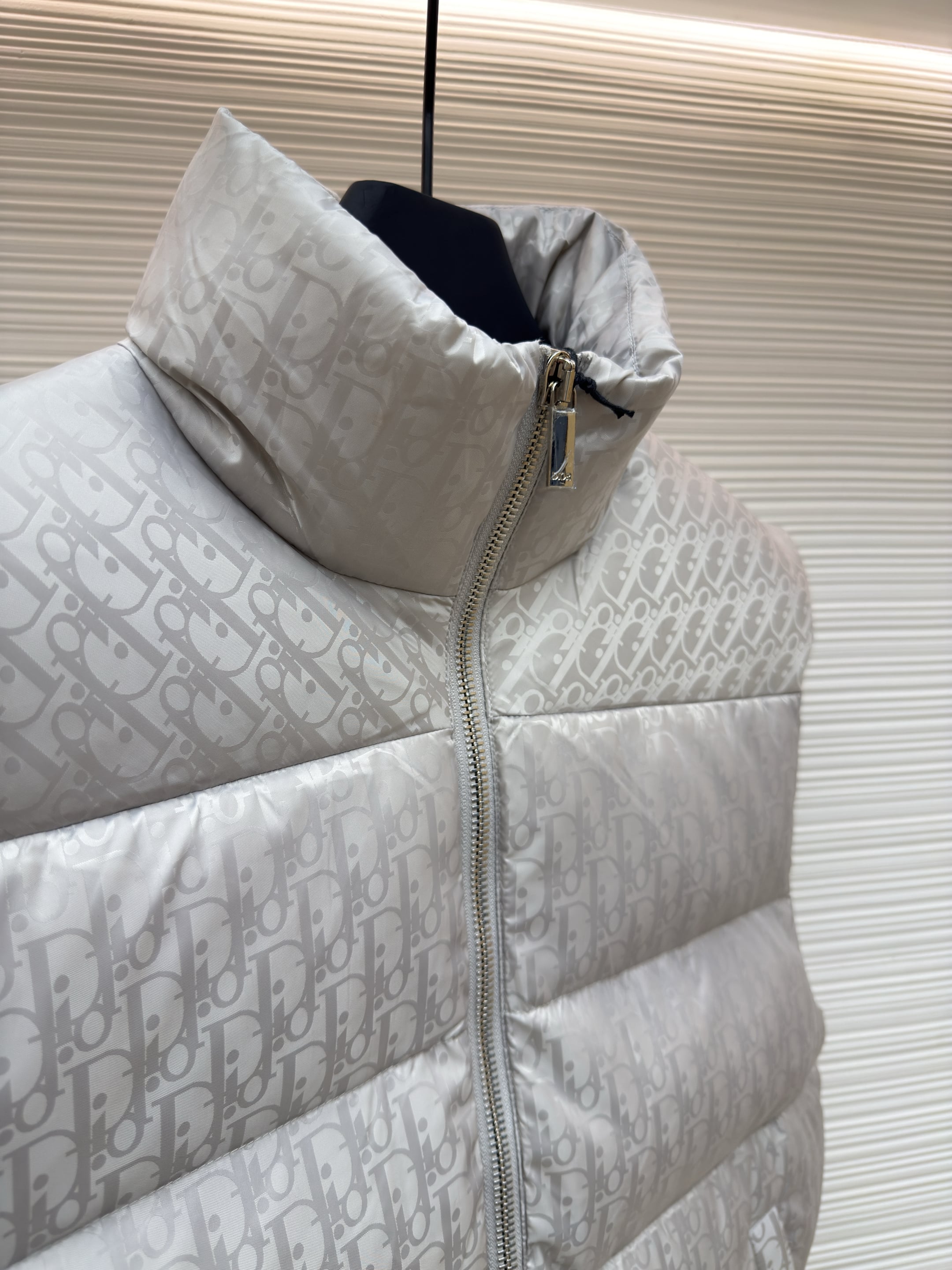 Dior Oblique Silver Technical Jacquard Down Vest – HolloShoe