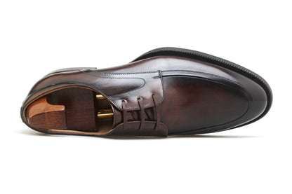 Top-down view of a single HolloShoe Hand-Burnished Chestnut Split-Toe Derby shoe with a shoe tree, highlighting the hand-burnished finish and apron toe.