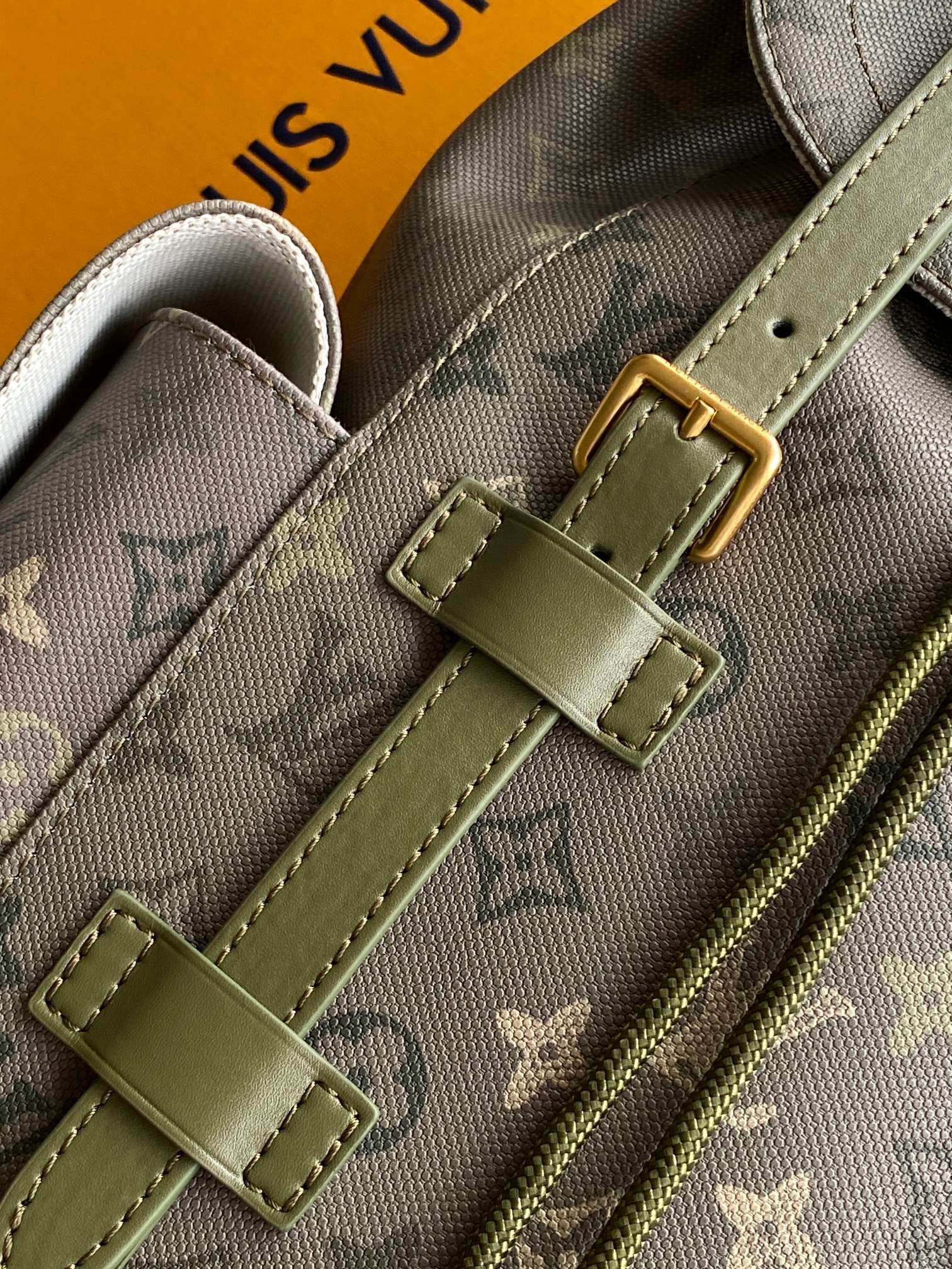 Louis Vuitton LV Christopher MM Backpack