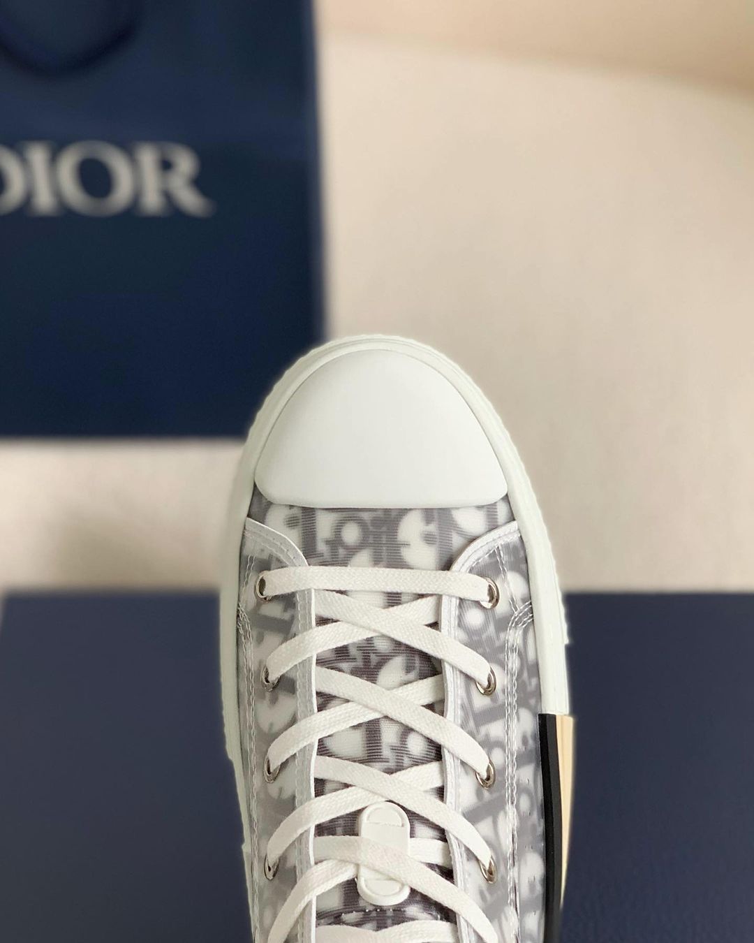 Dior B23 High-Top sneakers