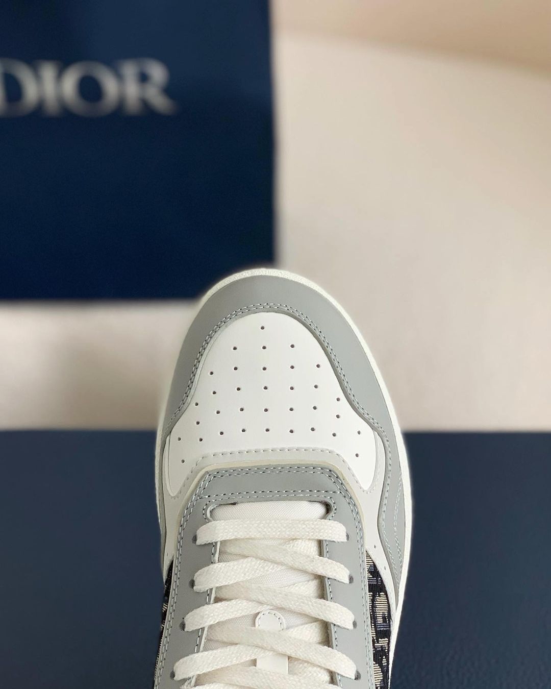 Dior B27 Low-Top Sneaker Grey and White Smooth Calfskin with Black