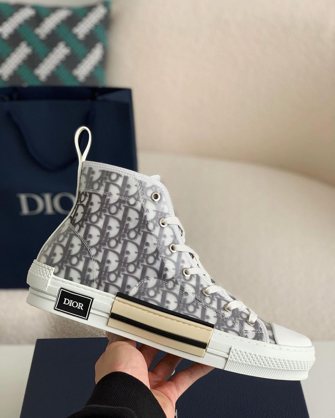 Dior B23 High-Top sneakers