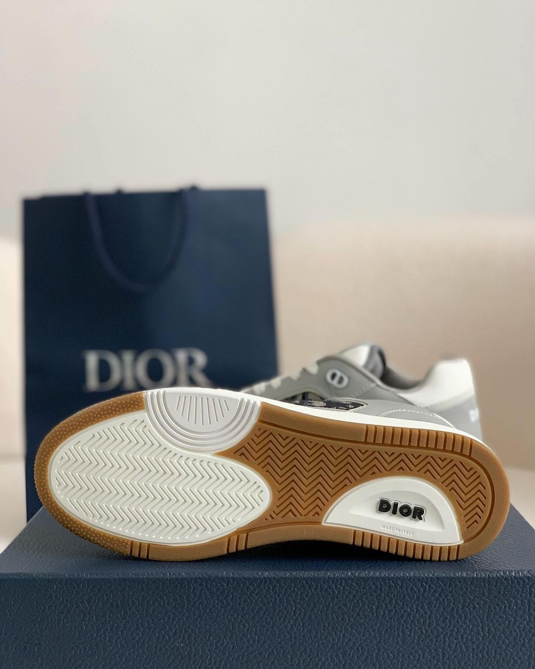 Dior B27 Low-Top Sneaker Grey and White Smooth Calfskin with Black