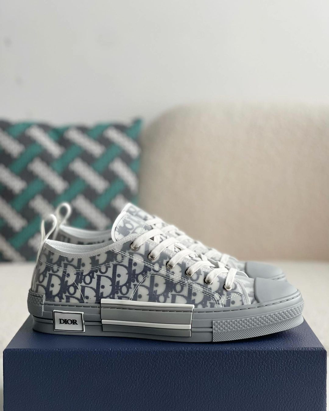 Dior B23 Low-Top Sneakers "GRAY"