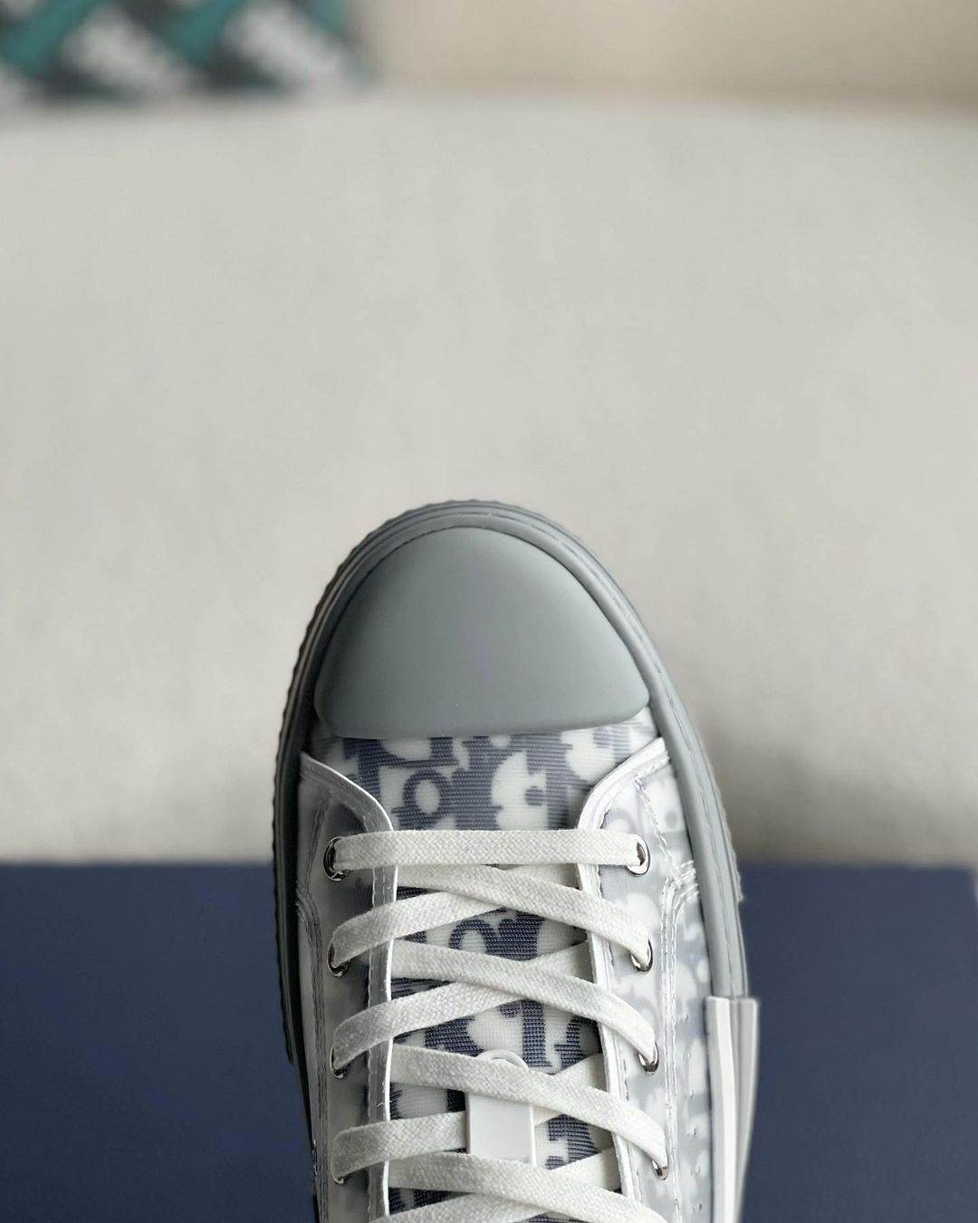 Dior B23 Low-Top Sneaker in White & Gray Dior Oblique Transparent