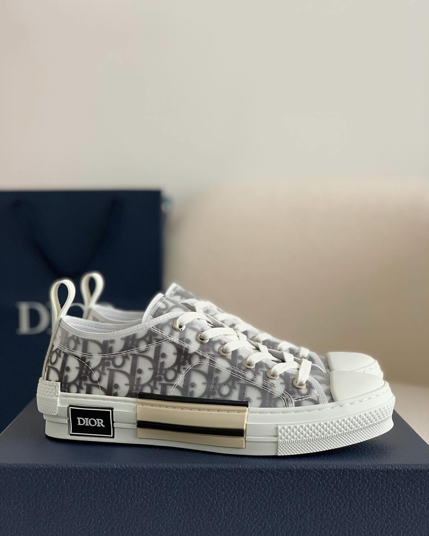 Dior chucks low on sale