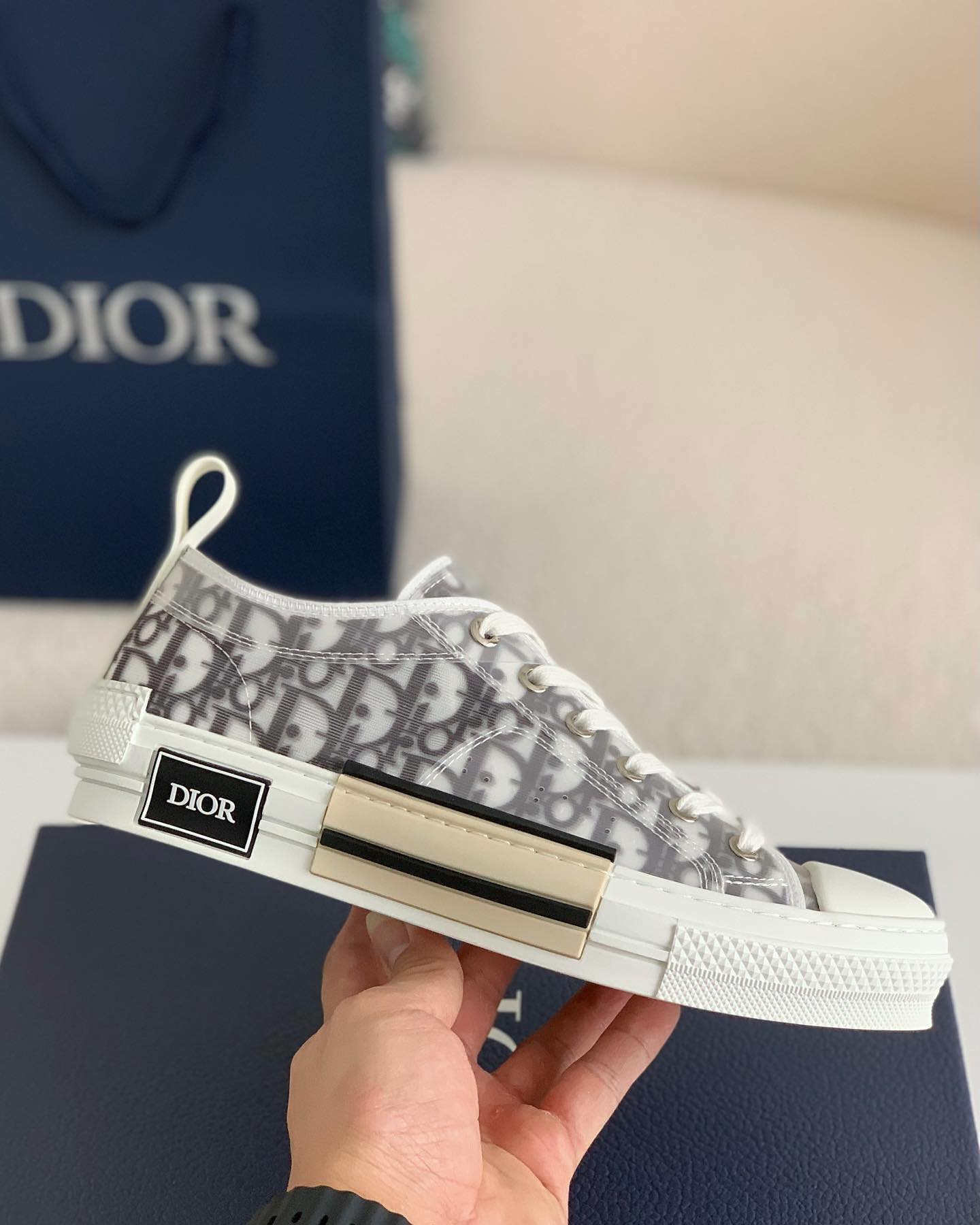 Dior B23 Low Dior Oblique Trainers Modern Style Iconic Design Hollo Shoe