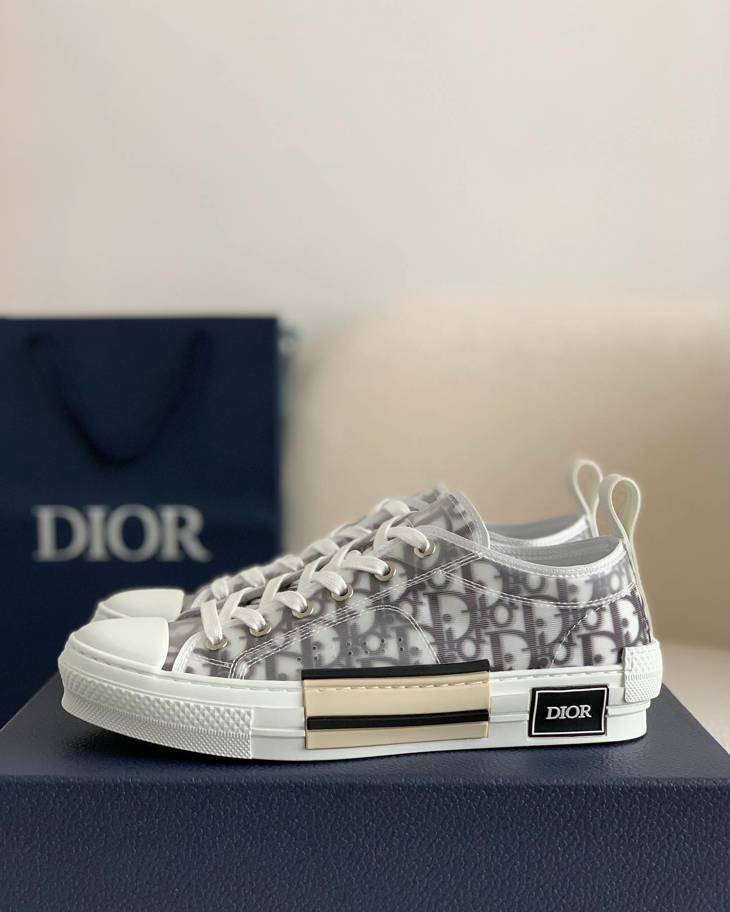 Dior B23 Low Dior Oblique Trainers Modern Style Iconic Design Hollo Shoe